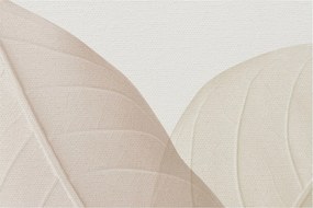 Obraz - Texturované listy (90x60 cm)