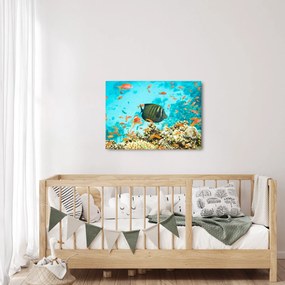 Obraz podmorského sveta (70x50 cm)