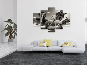 Obraz - Historické lietadlo (150x105 cm)