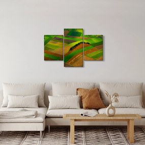 Obraz - Polia, lúky (90x60 cm)