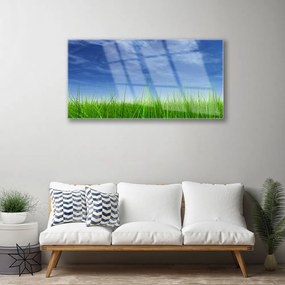 Obraz na skle Nebo tráva príroda 120x60 cm