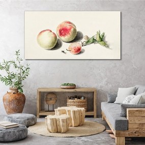Obraz na plátne broskyňový ovocie