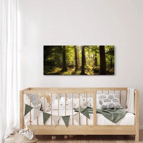 Obraz snového lesa (120x50 cm)