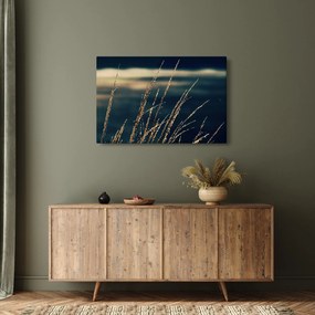 Obraz tráv (90x60 cm)