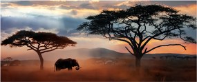 Obraz - Národný park Serengeti, Tanzánia, Afrika (120x50 cm)