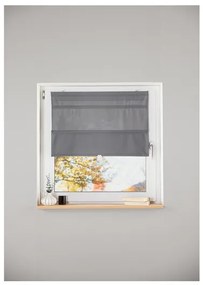 LIVARNO home Sťahovacia roleta na okno, 60 x 160 cm (sivá)  (100370727)