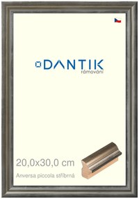 DANTIK rám na obraz 20x30 | ANIVERSA piccola stříbrná (Sklo Čiré)
