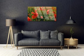 Skleneny obraz Maky rastlina príroda 125x50 cm