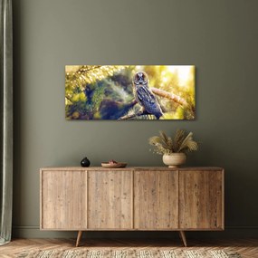 Obraz sovy na strome (120x50 cm)