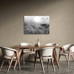 Sklenený obraz - Jesenná lúka (70x50 cm)