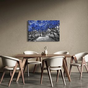 Obrázok - Modré stromy, Central Park, New York (90x60 cm)