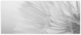 Obraz - Púpava (120x50 cm)