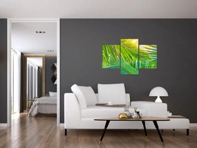 Obraz - Palmové listy (90x60 cm)