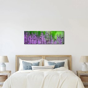 Obraz fialových lúčnych kvetov (s hodinami) (90x30 cm)