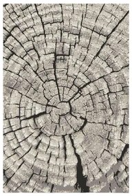 Koberec Frisee Phoenix 0,8/1,5 6021 244