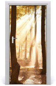 Fototapeta na dvere samolepiace les jeseň 85x205 cm