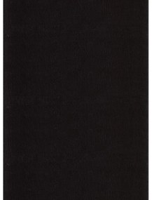 Ayyildiz koberce Kusový koberec Catwalk 2600 Black - 160x220 cm