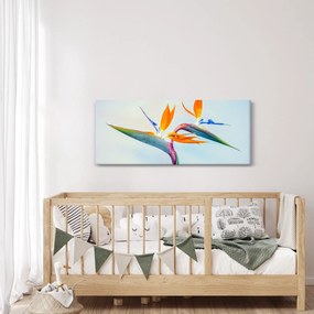 Obraz kvetu Strelícia (120x50 cm)