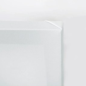 Gario Obraz na plátne Plameniak na bodkovanom pozadí - Andrea Haase Rozmery: 60 x 40 cm