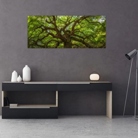 Obraz - Zelený strom (120x50 cm)