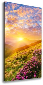 Vertikálny foto obraz na plátne Západ slnka hory ocv-100025577