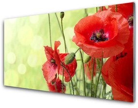 Skleneny obraz Maky kvety príroda 120x60 cm