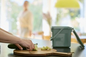 Rotho 2. akosť - S - Odpadkový kôš, na bio odpad, Kompostér BIO, matne zelený, 5l