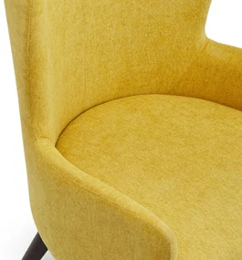 CLARA LOUNGE KRESLO kreslo