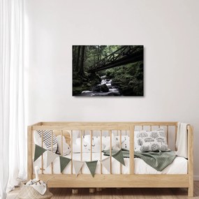 Sklenený obraz z čierneho lesa (70x50 cm)