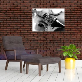 Sklenený obraz - Husle (70x50 cm)