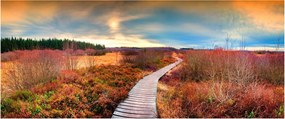 Obraz - Jesenná cesta krajinou (120x50 cm)