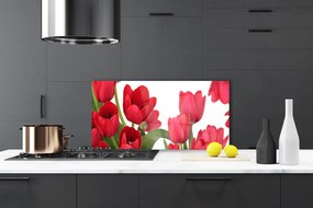 Sklenený obklad Do kuchyne Tulipány kvety rastlina 100x50 cm