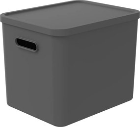Rotho 2. akosť - Úložný box, rovný s vekom, 27l, antracit ALBU LIGHT, 37x29x30 (biele veko)