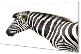 Sklenený obraz zebra 120x60 cm