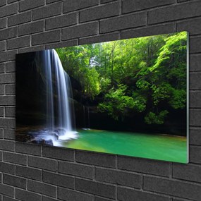 Skleneny obraz Vodopád príroda les jazero 125x50 cm