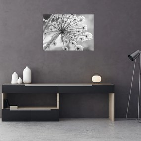 Sklenený obraz - Kvetina v zime (70x50 cm)