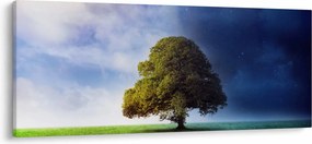 Obraz - Deň a noc (120x50 cm)