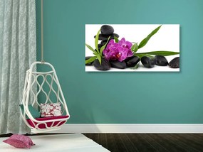 Obraz fialová orchidea v Zen zátiší - 100x50