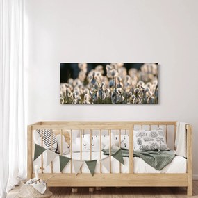 Obraz - Biely páperník (120x50 cm)