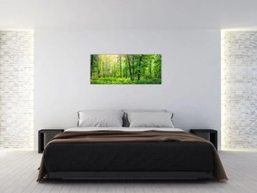Obraz - Jarný listnatý les (120x50 cm)
