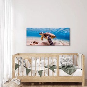 Obraz korytnačky v oceáne (120x50 cm)