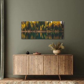 Obraz lesného jazera (120x50 cm)