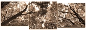 Obraz na plátne - Zelené stromy v lese - panoráma 5194FE (120x40 cm)