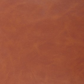 Koňakovohnedá/v prírodnej farbe jedálenská stolička z imitácie kože Addi – Actona