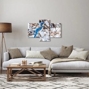 Obraz - Zimný vtáčik (90x60 cm)