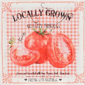 Obraz tlačený na plátne 28x28 PRC913