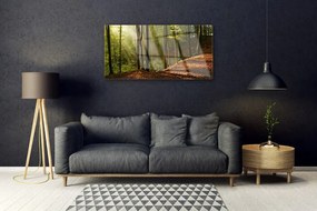 Skleneny obraz Les stromy príroda 125x50 cm