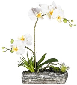 Gasper Phalaenopsis 40 cm (vr.polyresin.misky)