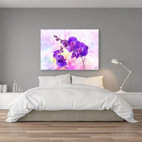 Obraz na plátně, Fialová orchidej - 60x40 cm