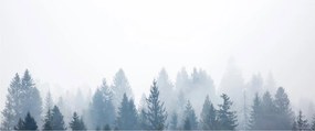 Obraz - Zahmlený les (120x50 cm)